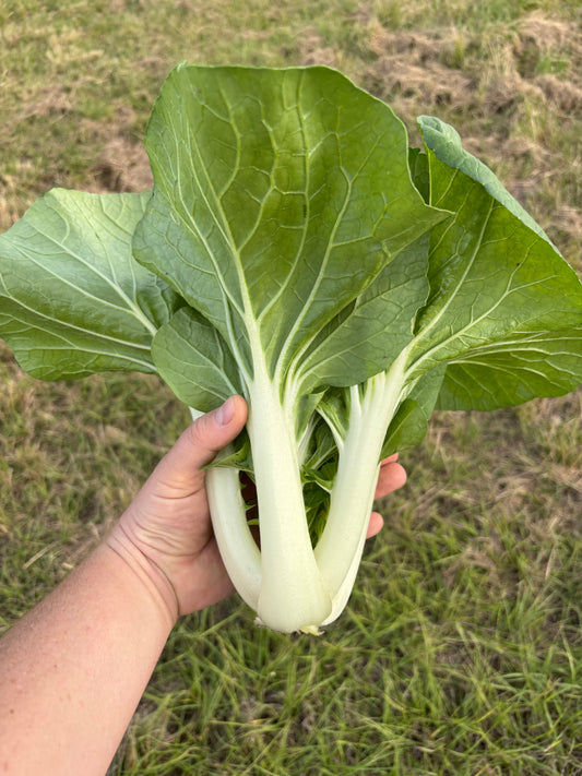 Bok Choy